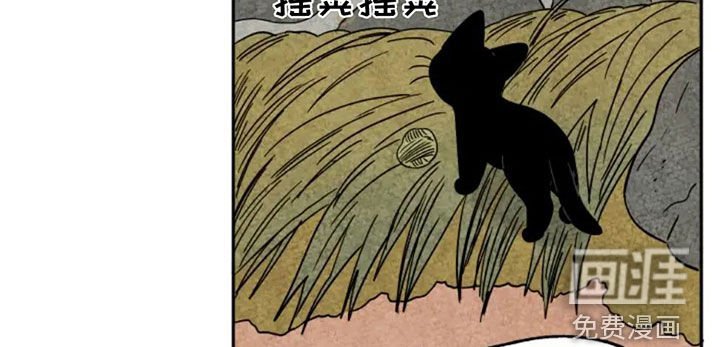第81章：第一个冬天