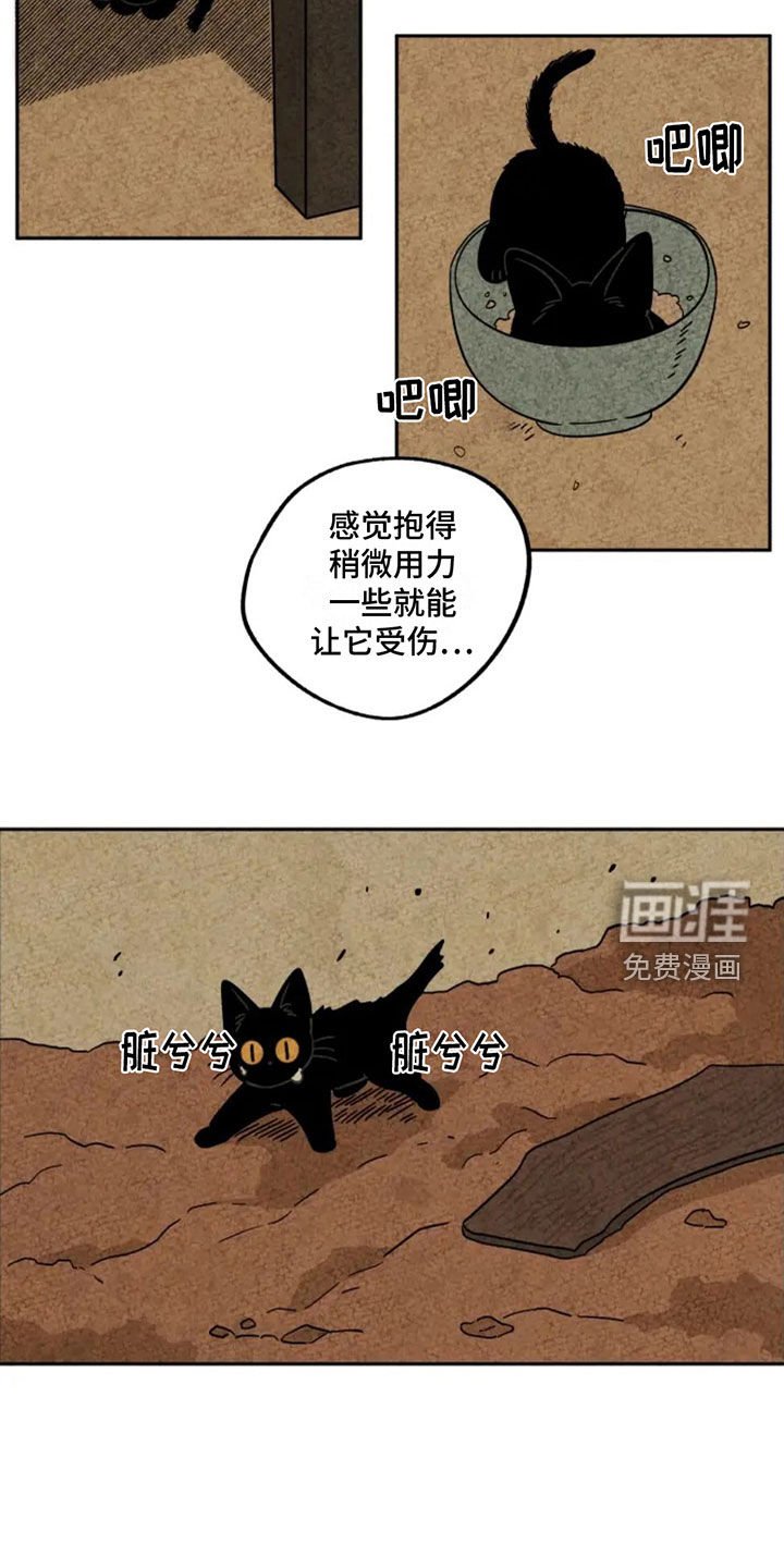 第81章：第一个冬天