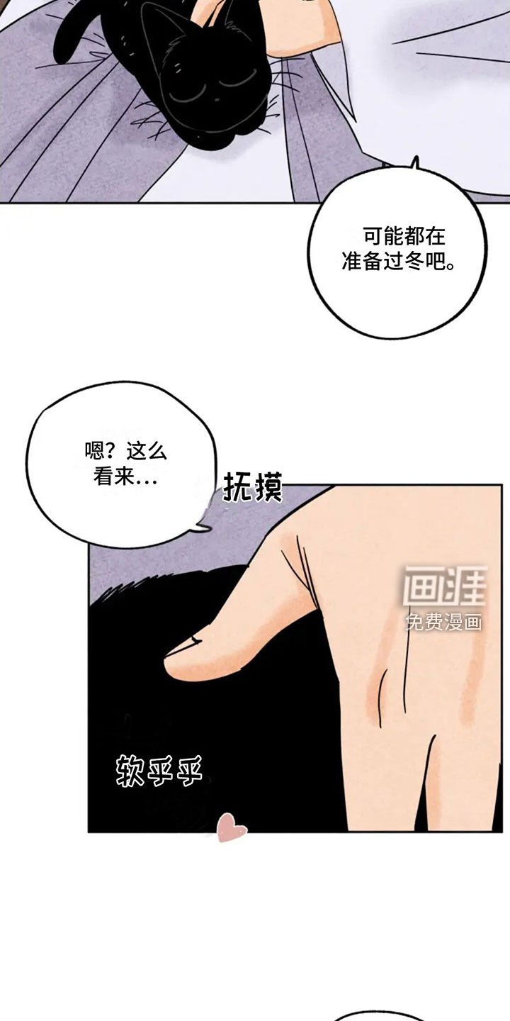 第81章：第一个冬天
