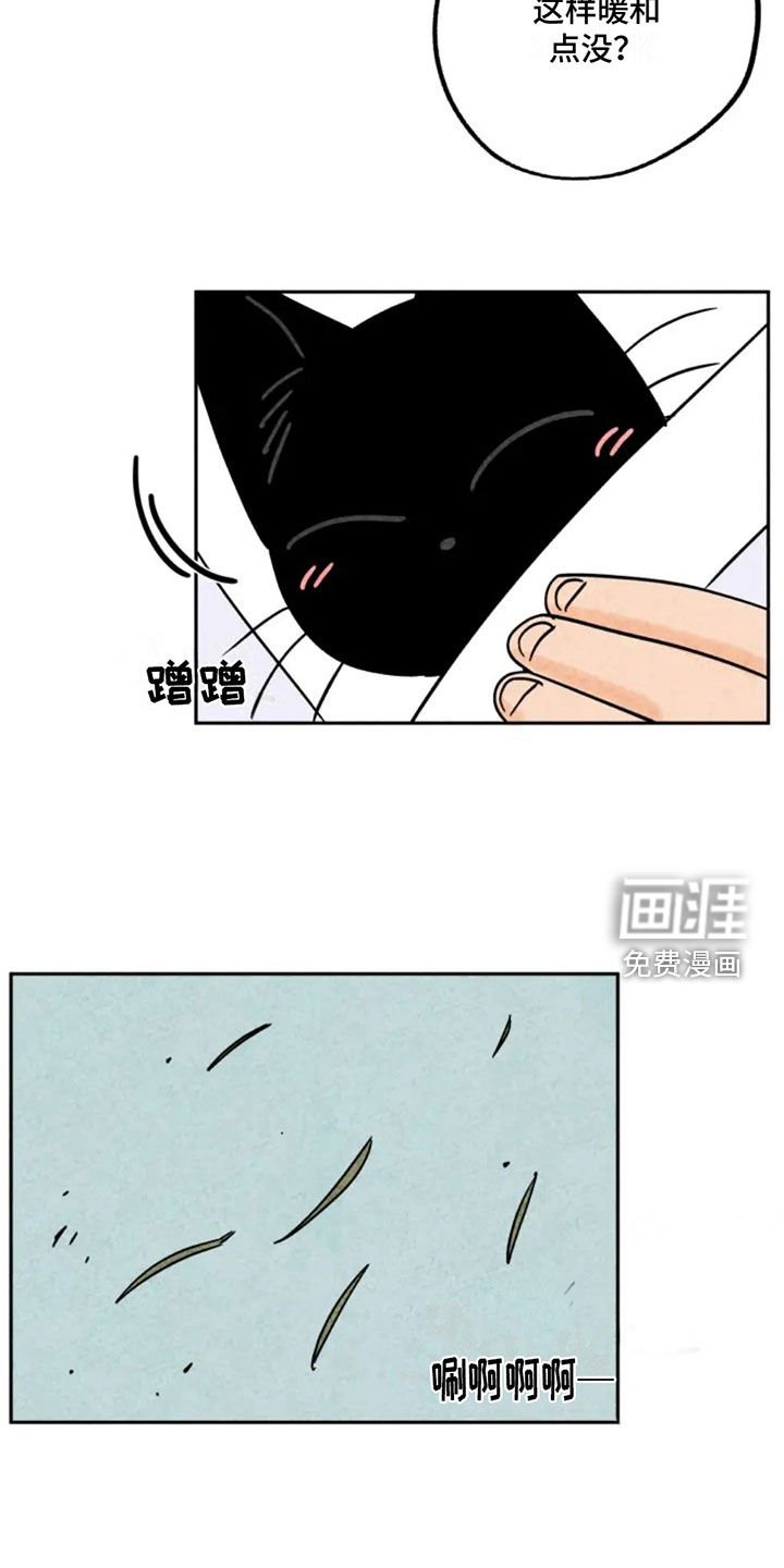 第81章：第一个冬天