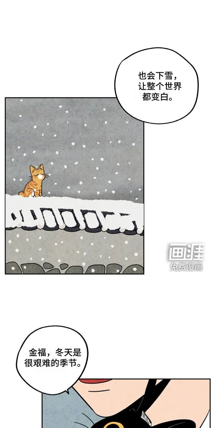 第81章：第一个冬天
