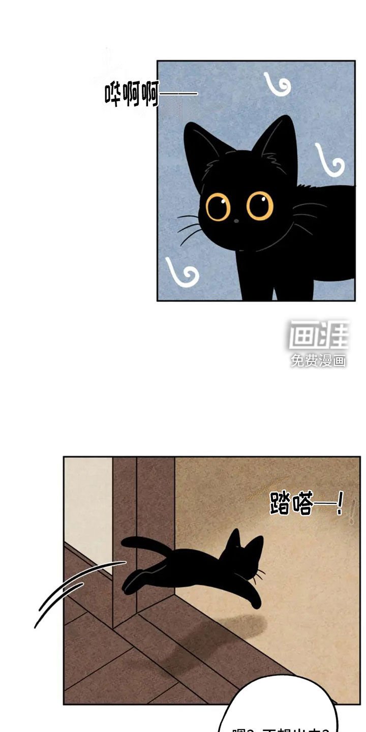 第84章：集市