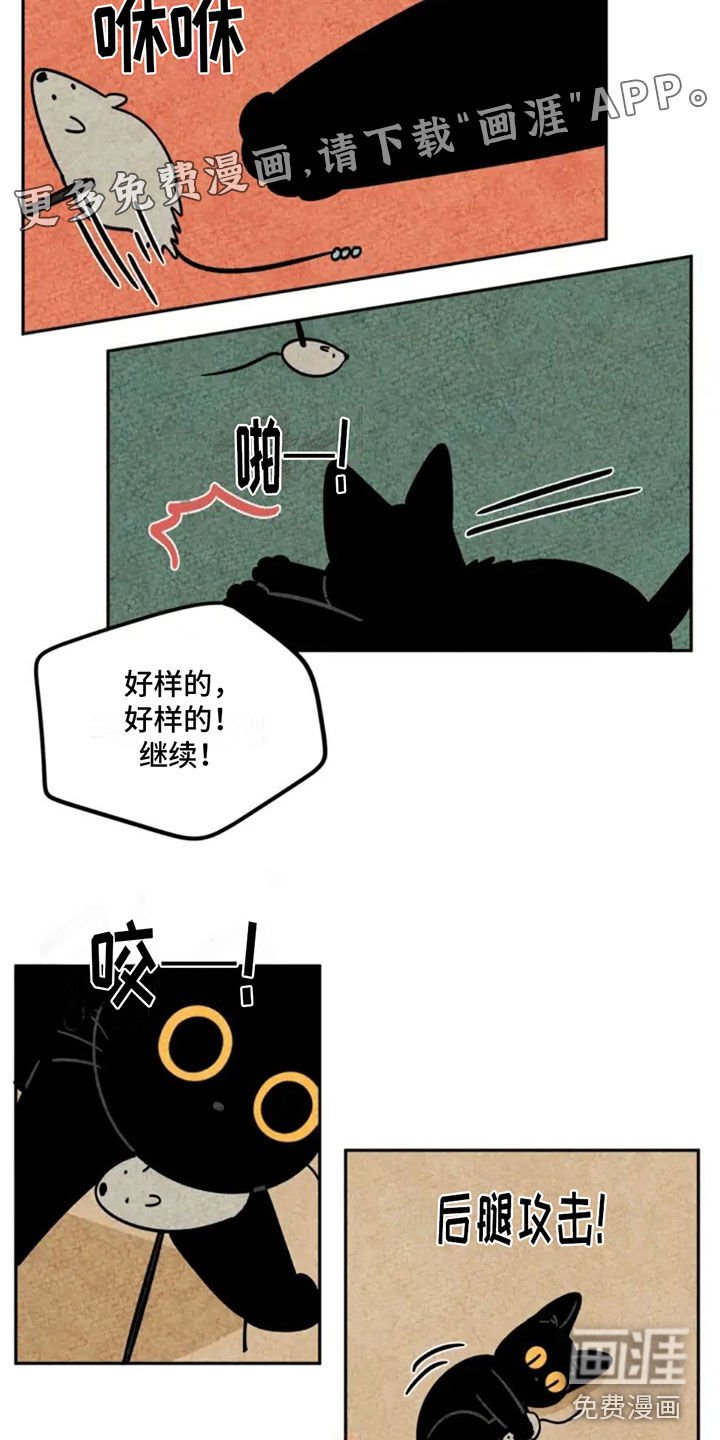 第87章：抵达