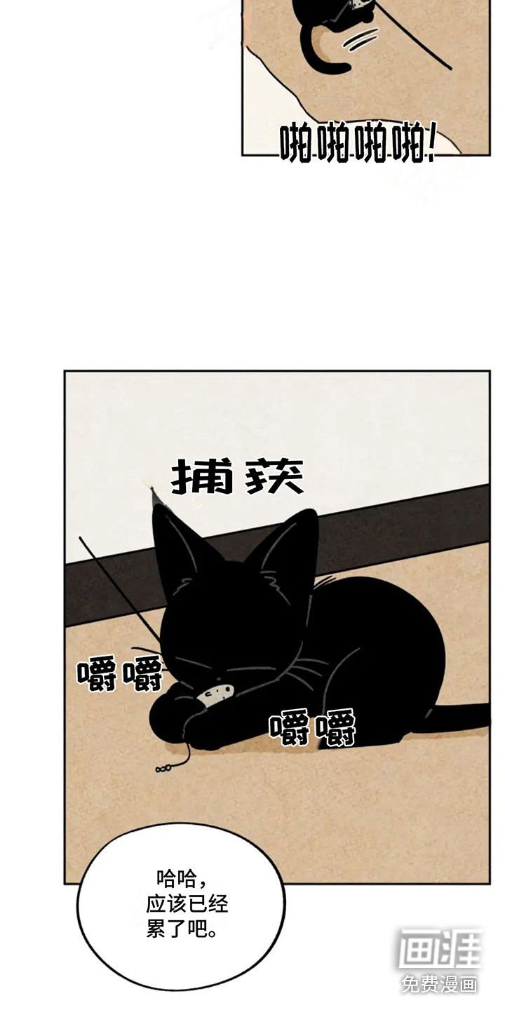 第87章：抵达