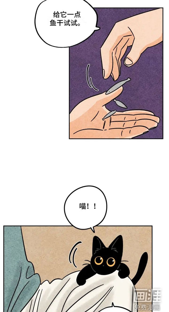 第87章：抵达