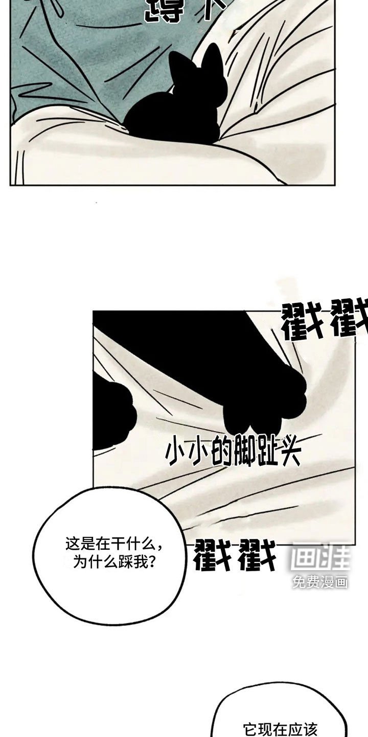 第87章：抵达