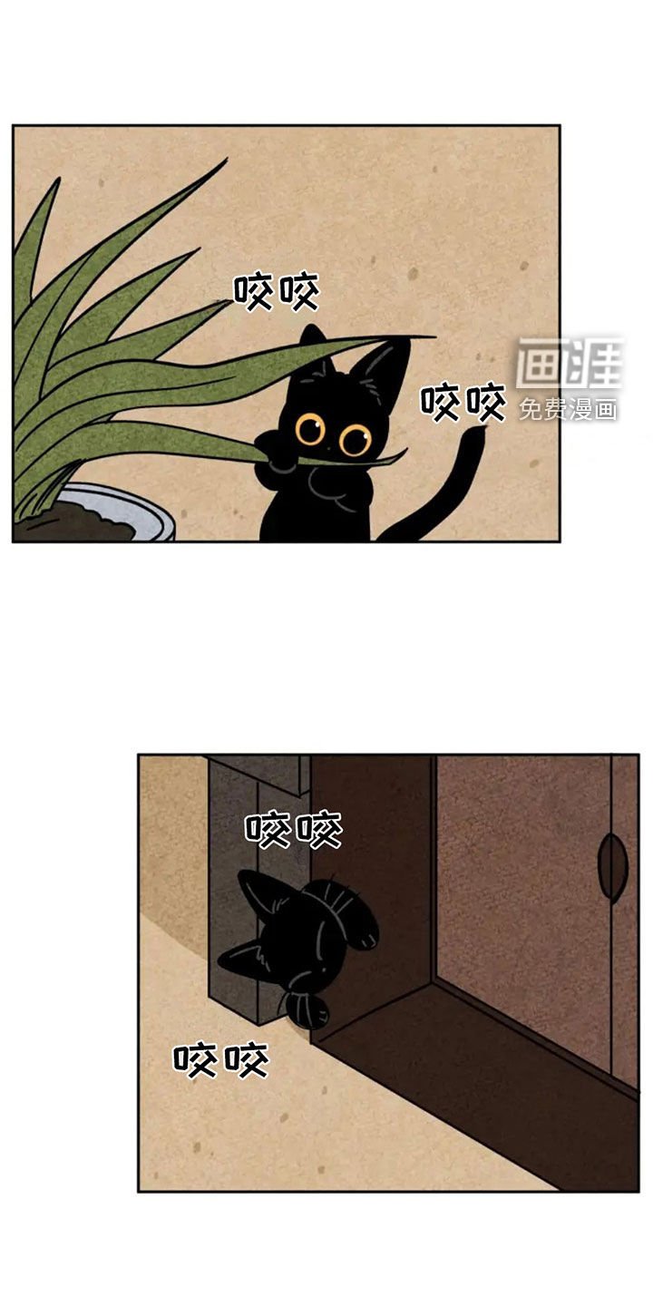 第88章：藏起来