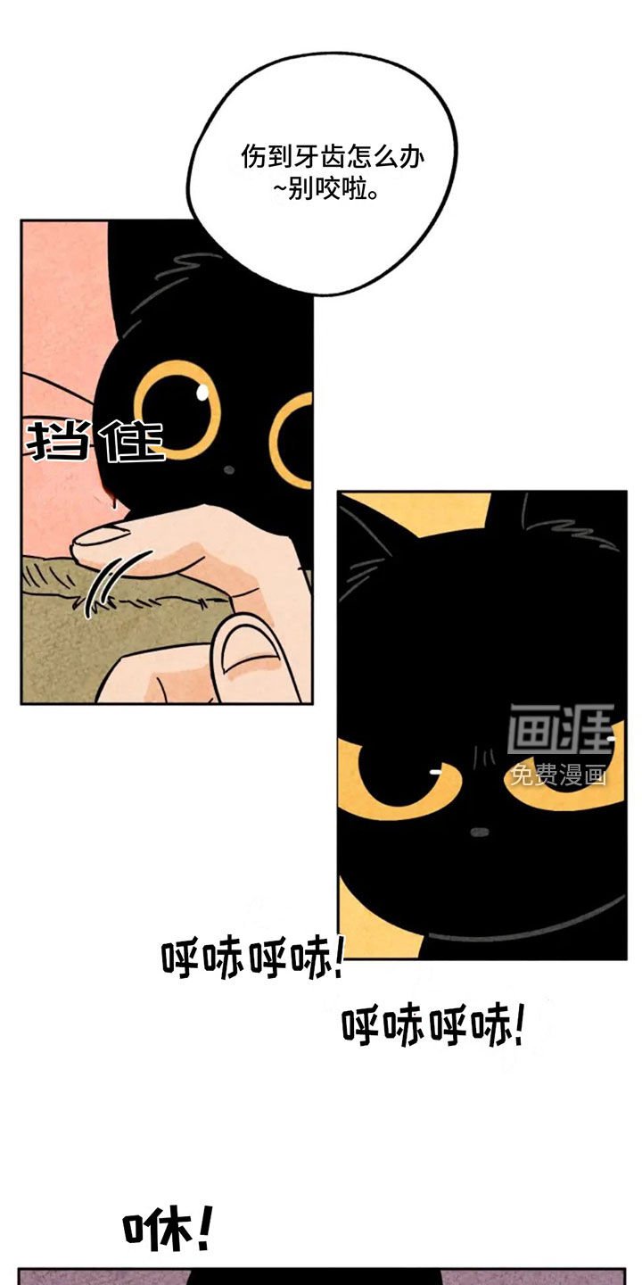 第91章：掉牙
