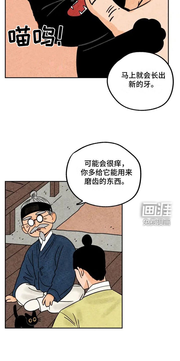 第91章：掉牙
