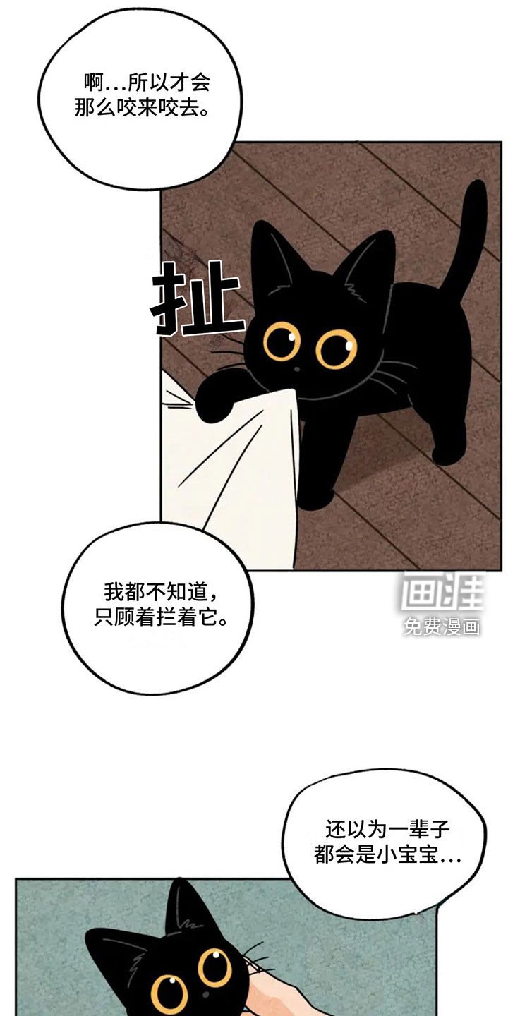 第91章：掉牙