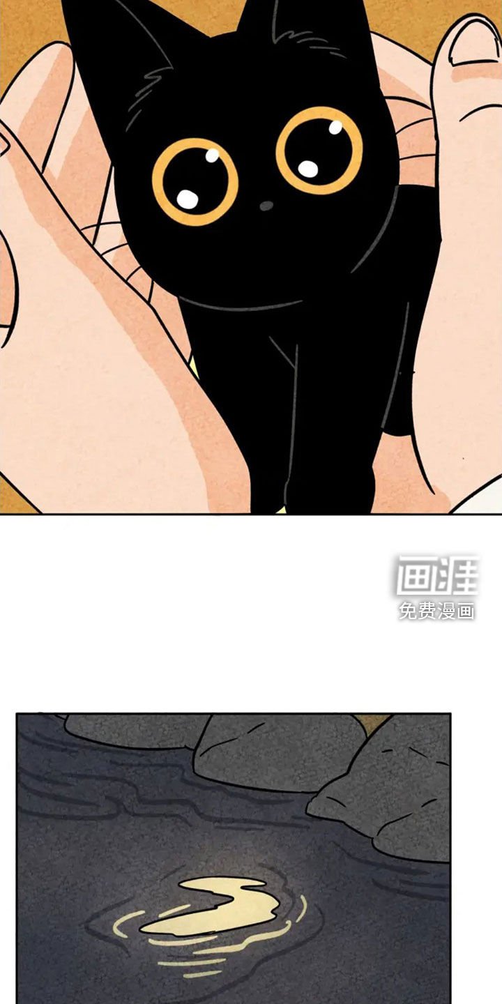 第91章：掉牙