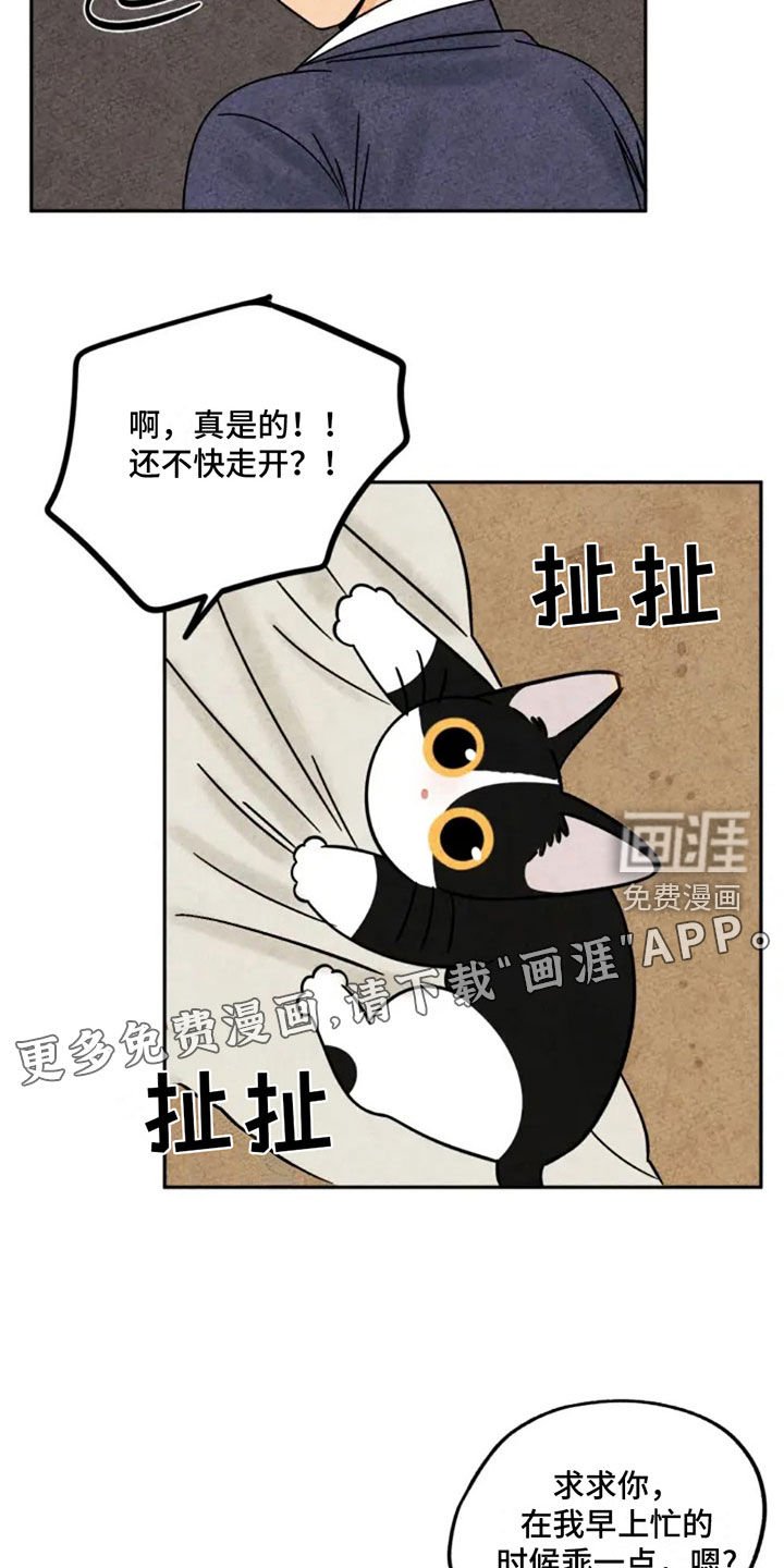 第92章：猫爬架