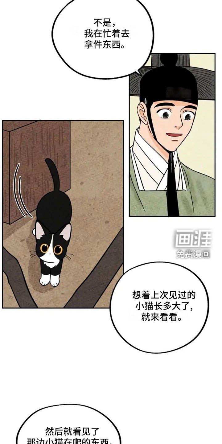 第92章：猫爬架