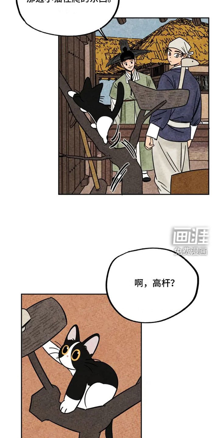 第92章：猫爬架