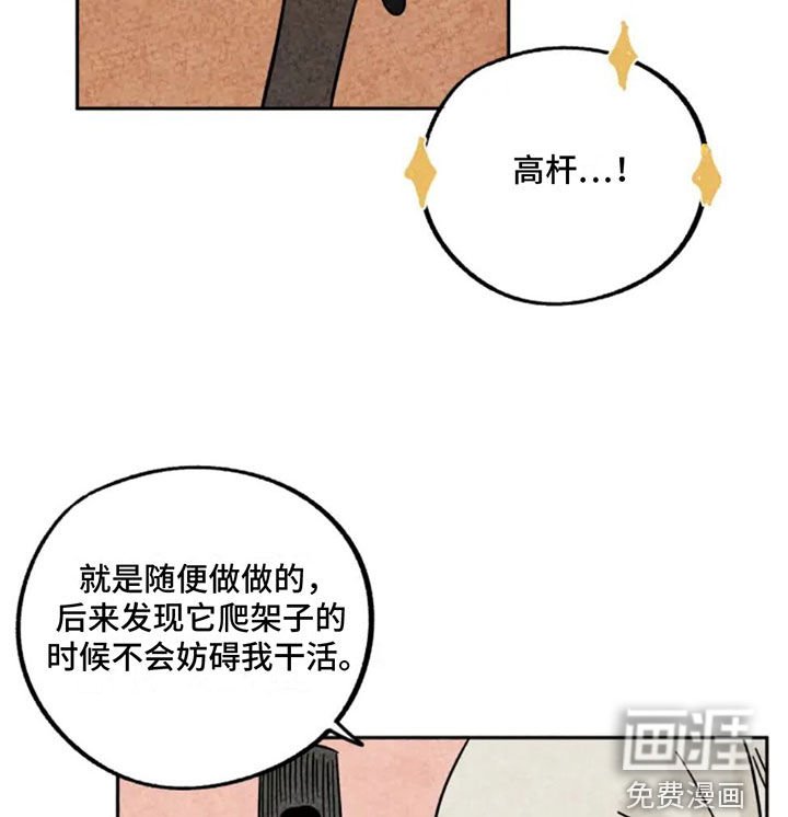 第92章：猫爬架