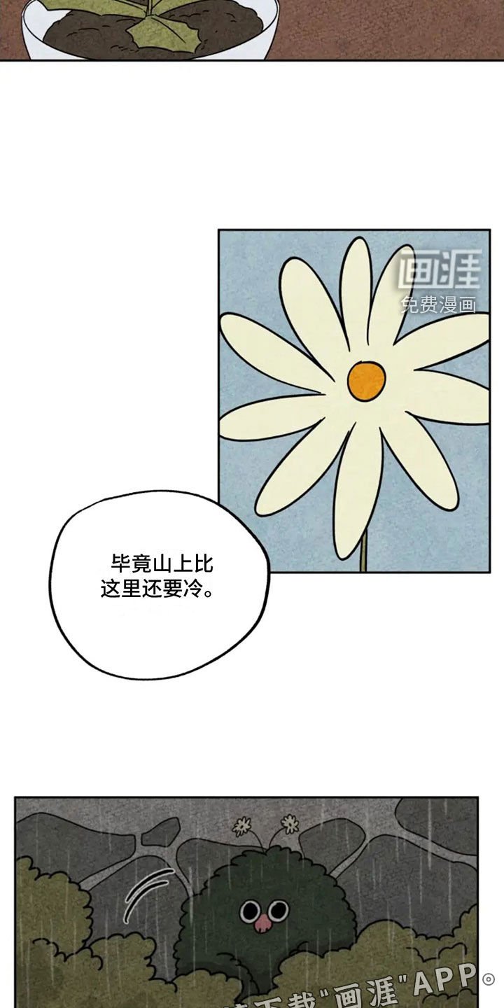 第94章：下雪