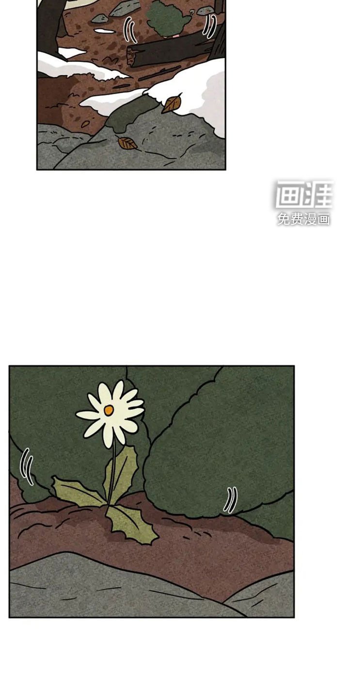 第94章：下雪