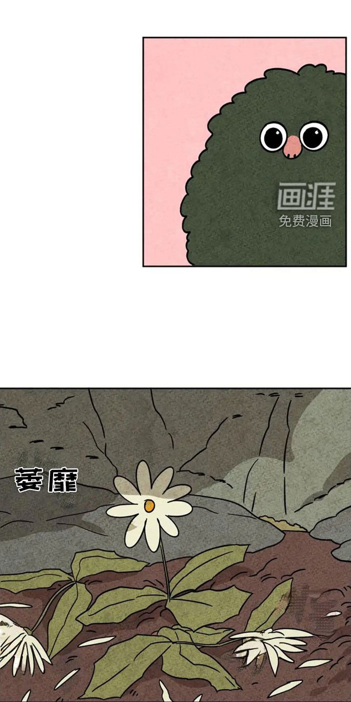第94章：下雪