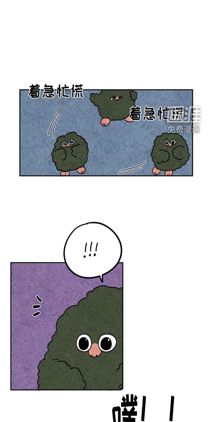 第94章：下雪