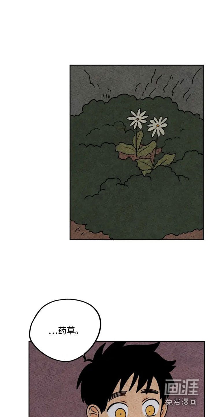 第95章：撞见