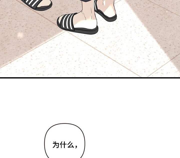第110章：自己解决