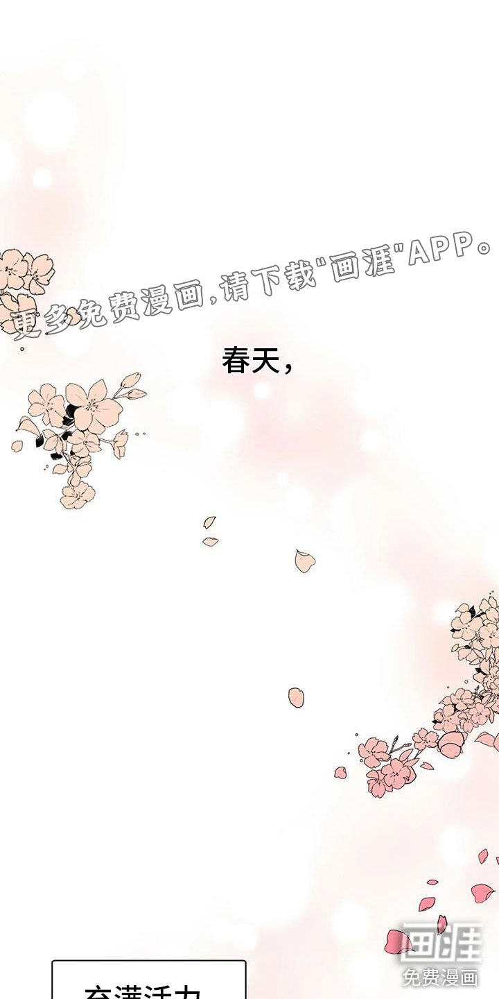 第17章：闲聊往事