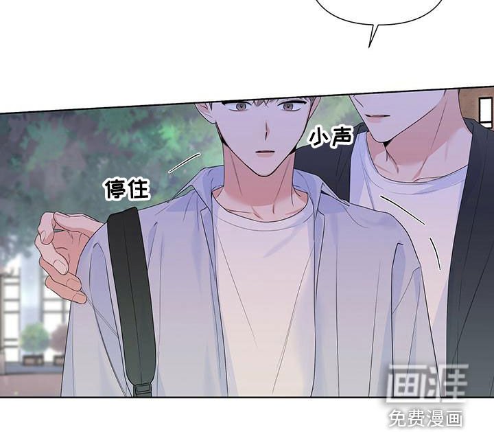 第41章：表白
