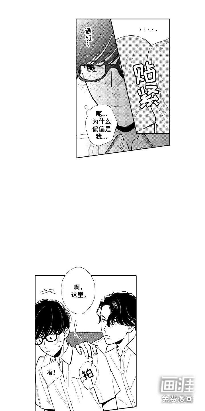 第6章：胡思乱想