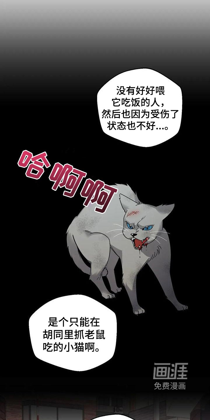 第8章：弱点：传言