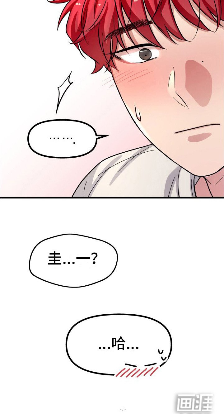 第17章：循序渐进