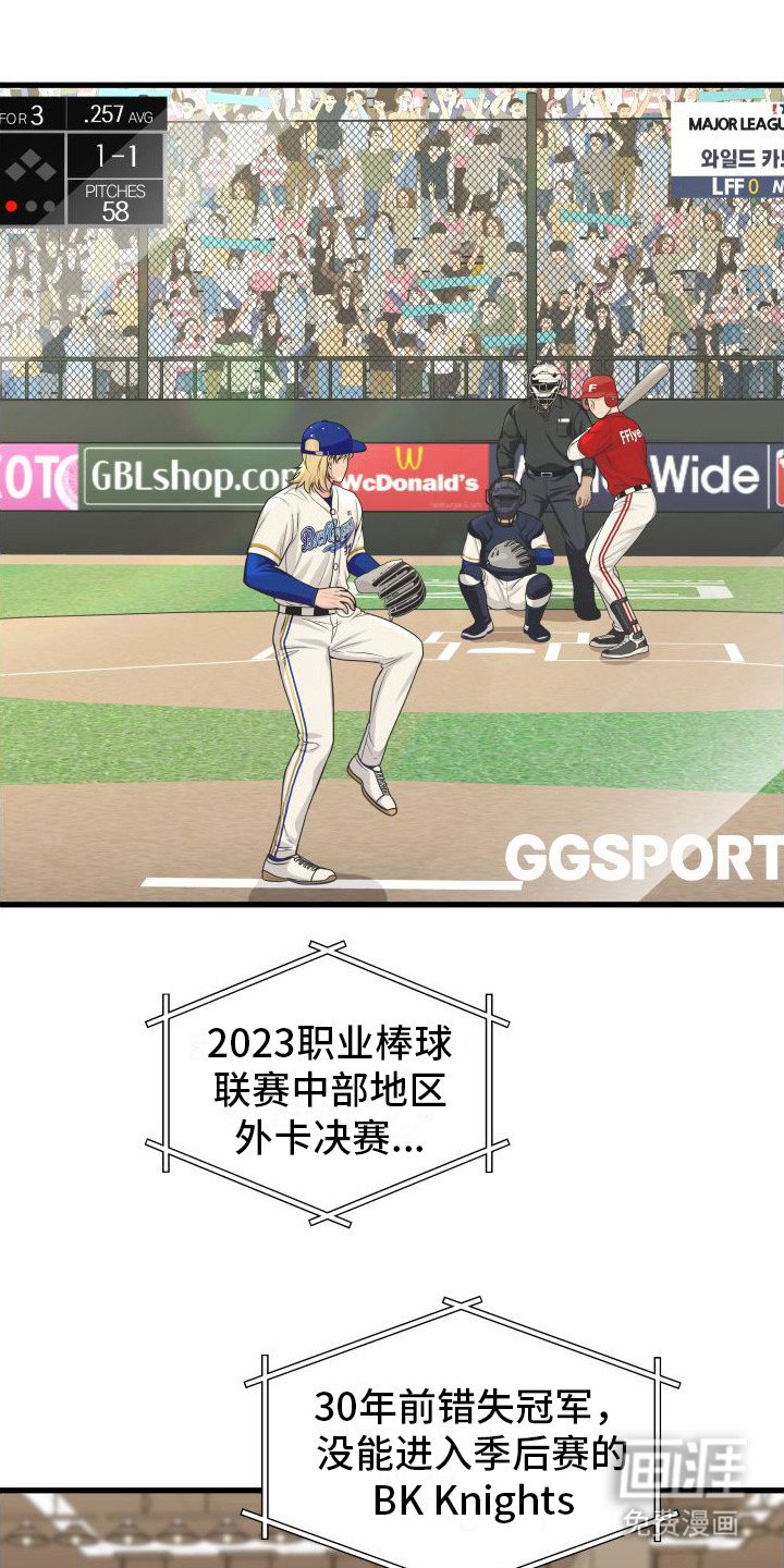 第20章：投手