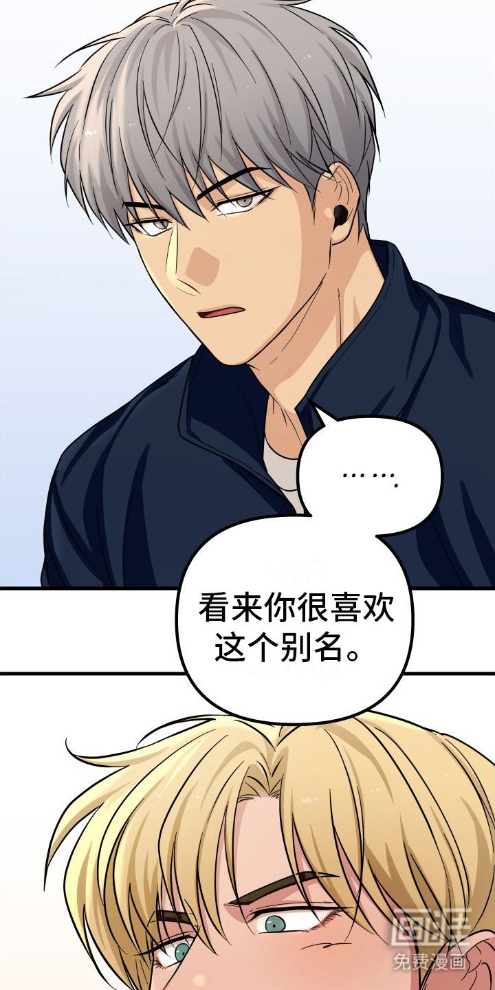 第20章：投手