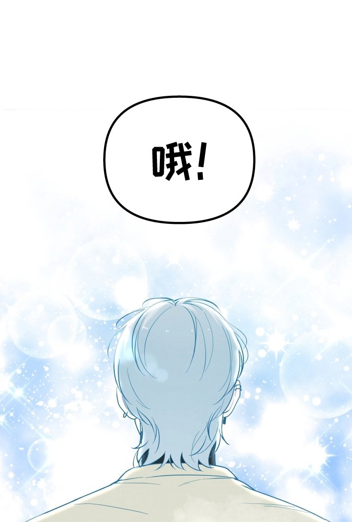 第33章：访问