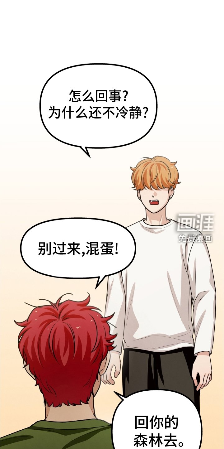 第33章：访问