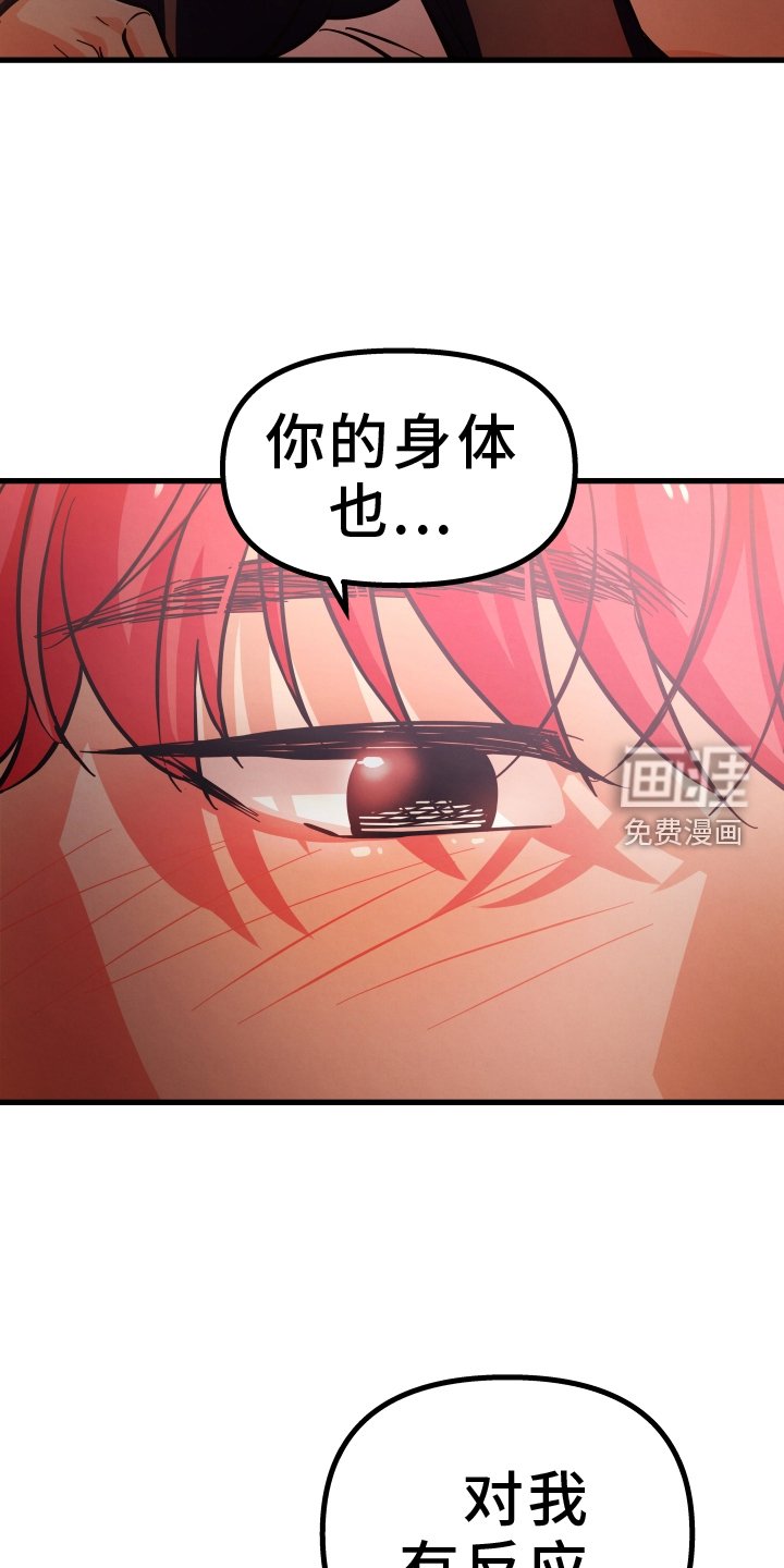 第40章：开心