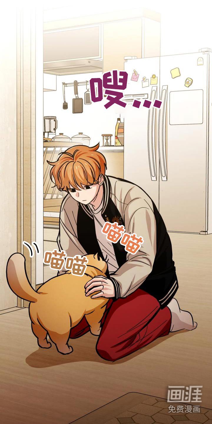 第81章：真乖