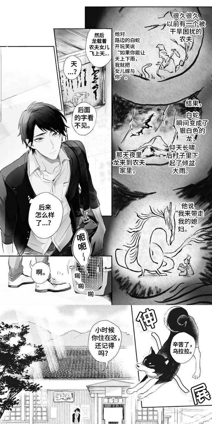 第1章：等我的娘子