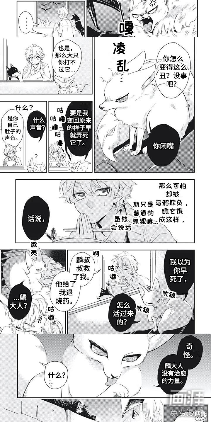 第39章：投喂小狐狸
