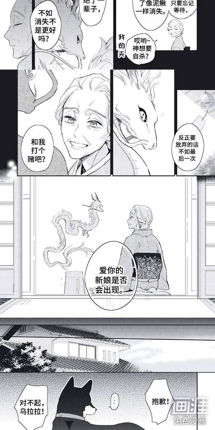 第48章：打赌