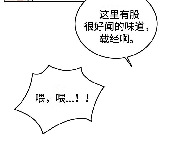 第18章：闻味道 