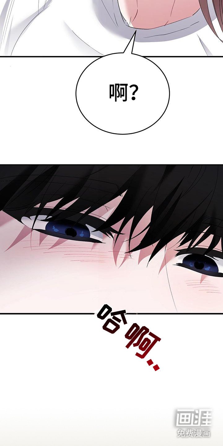第5章： 再次看见