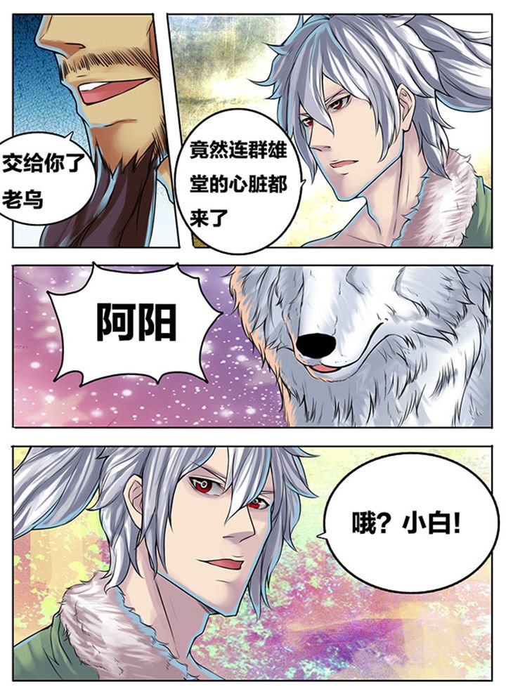 第291章：