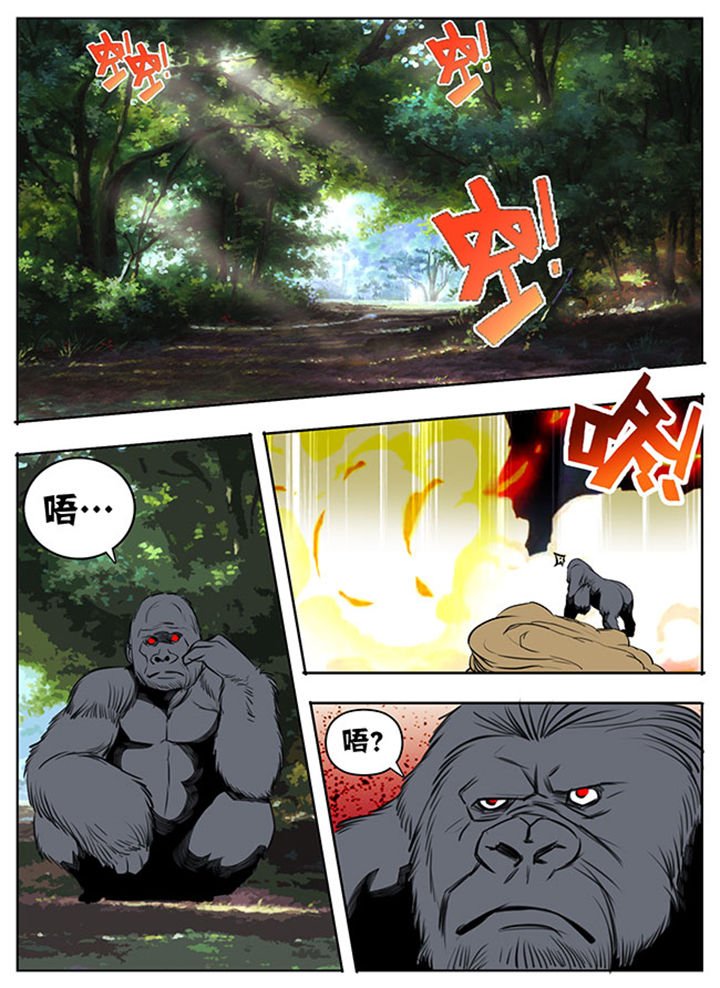 第40章：