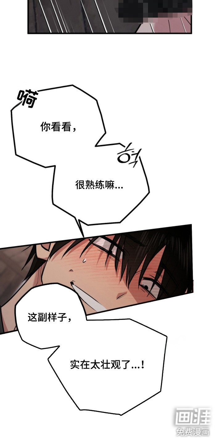 第4章：怨恨