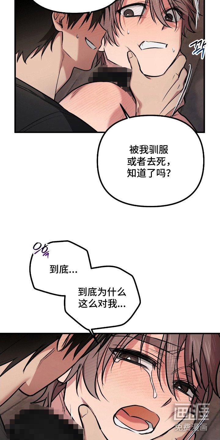 第5章：屈服