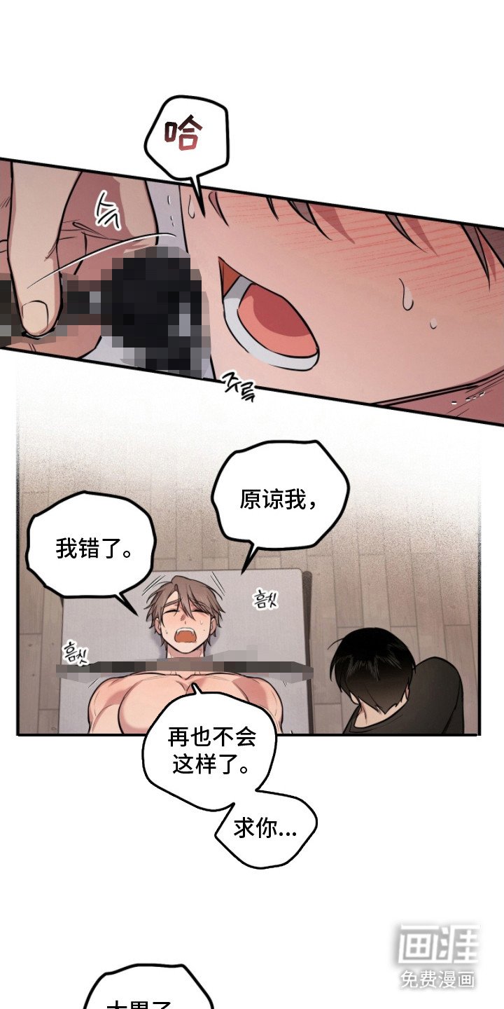第6章：狗食