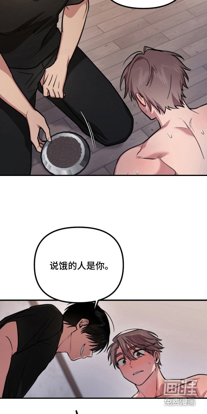 第6章：狗食