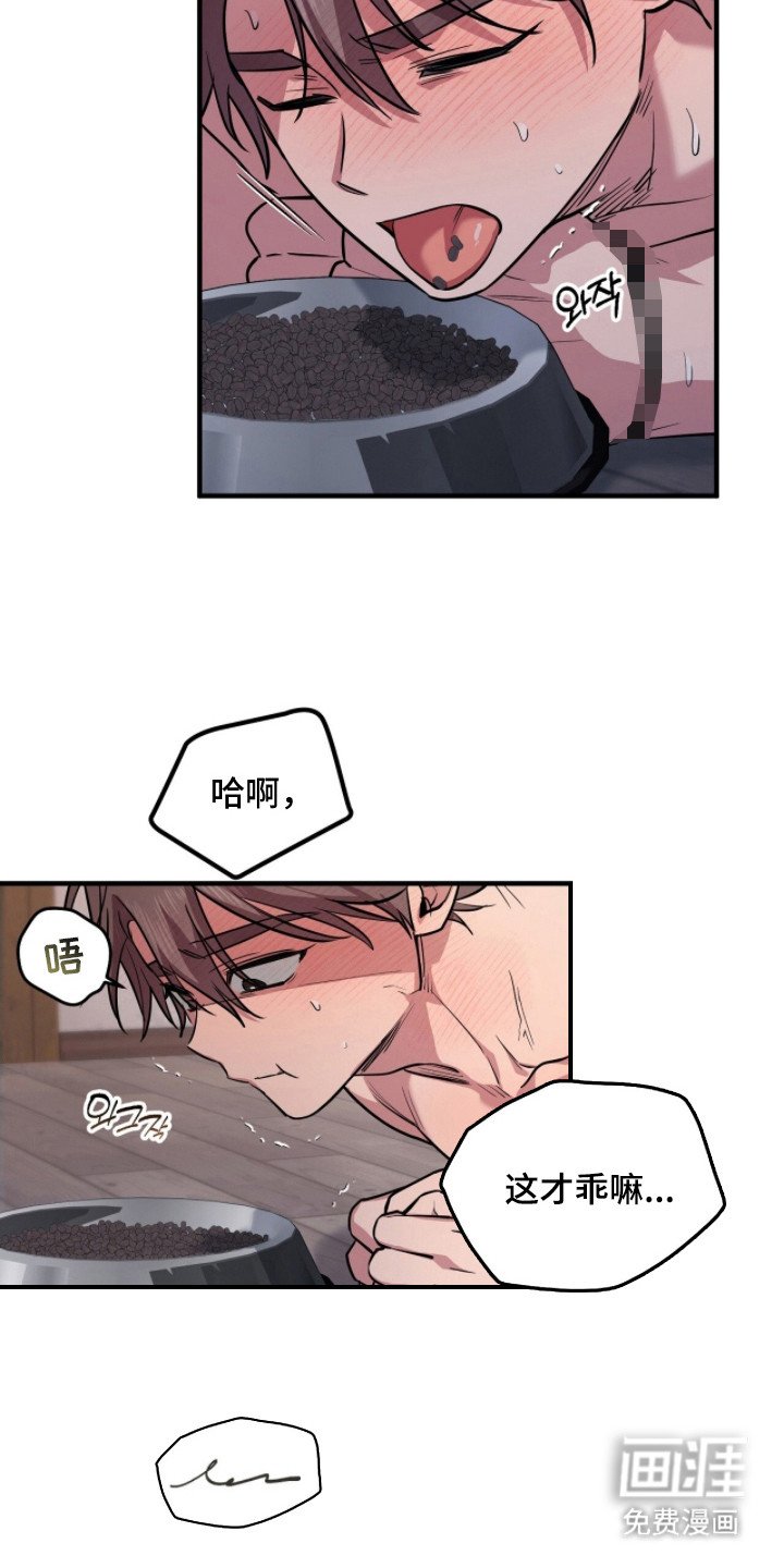 第6章：狗食