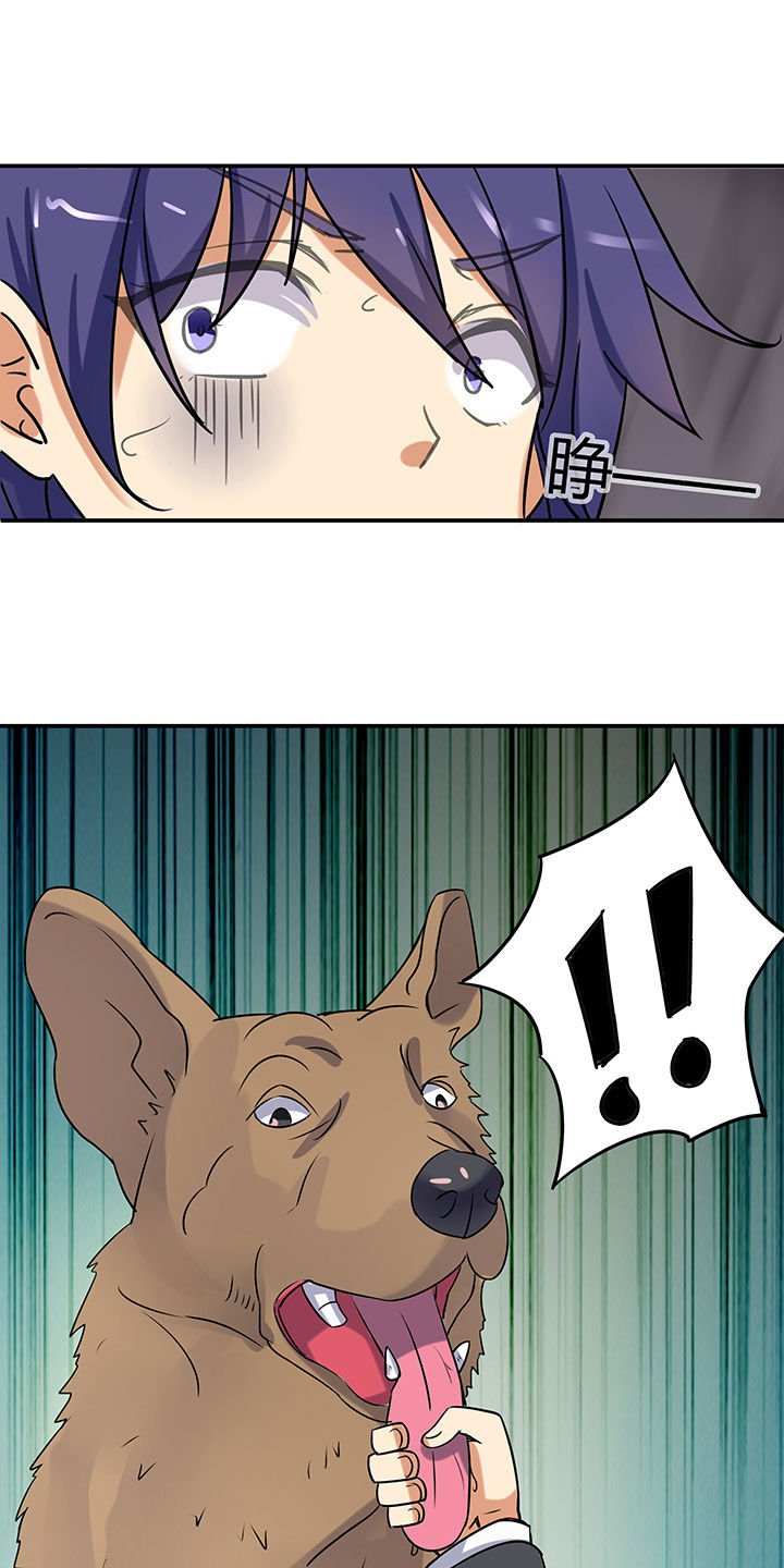 第66章：