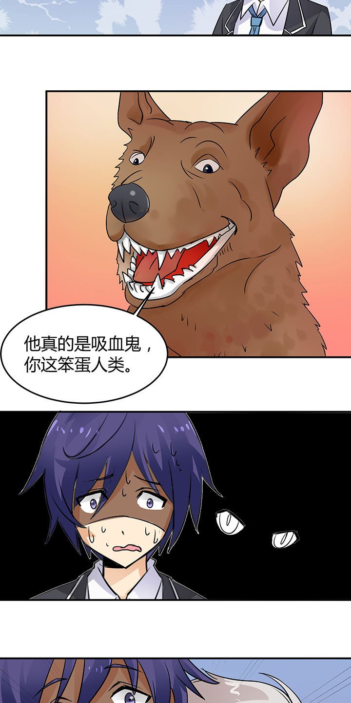 第66章：